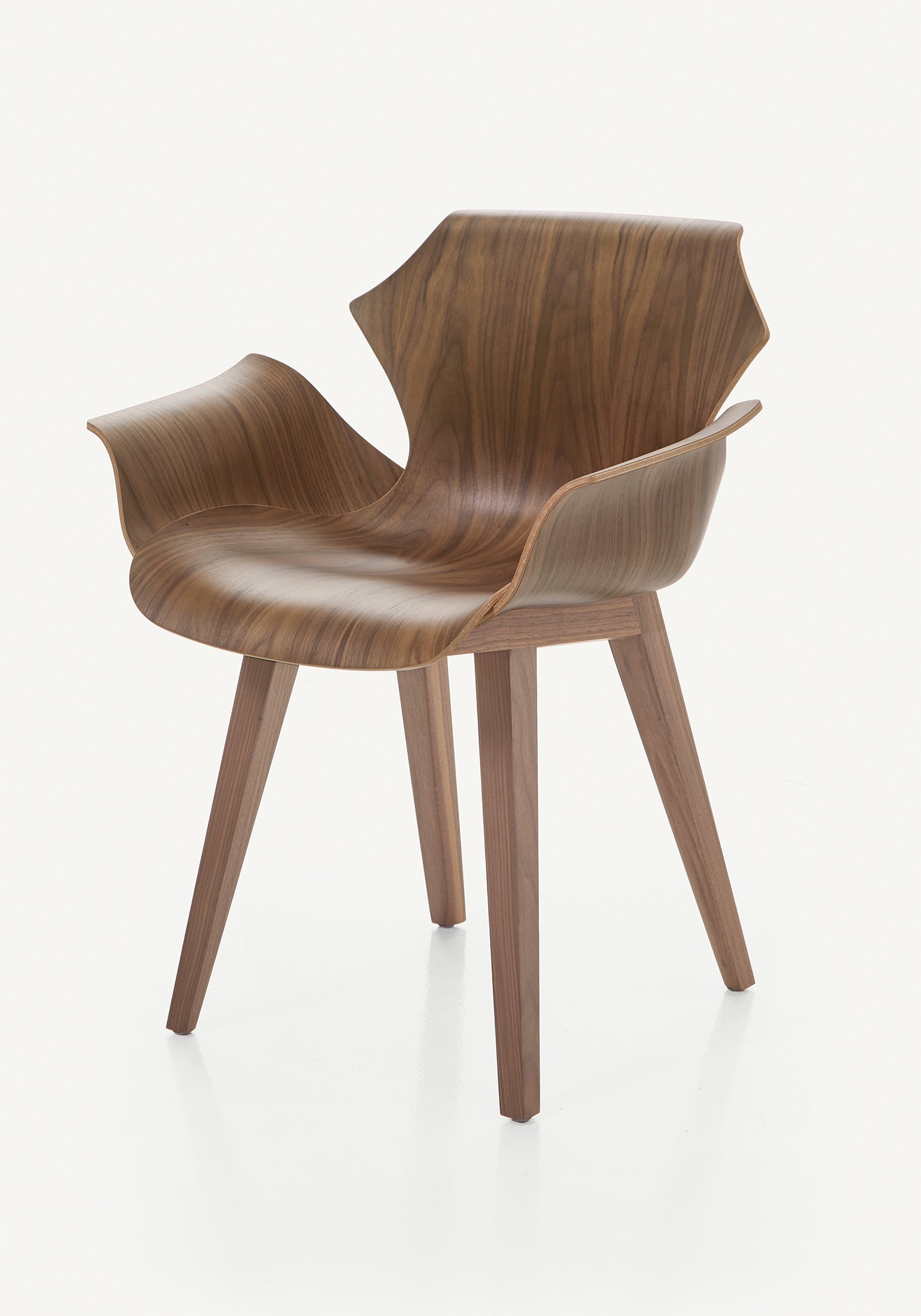 Petal Chair