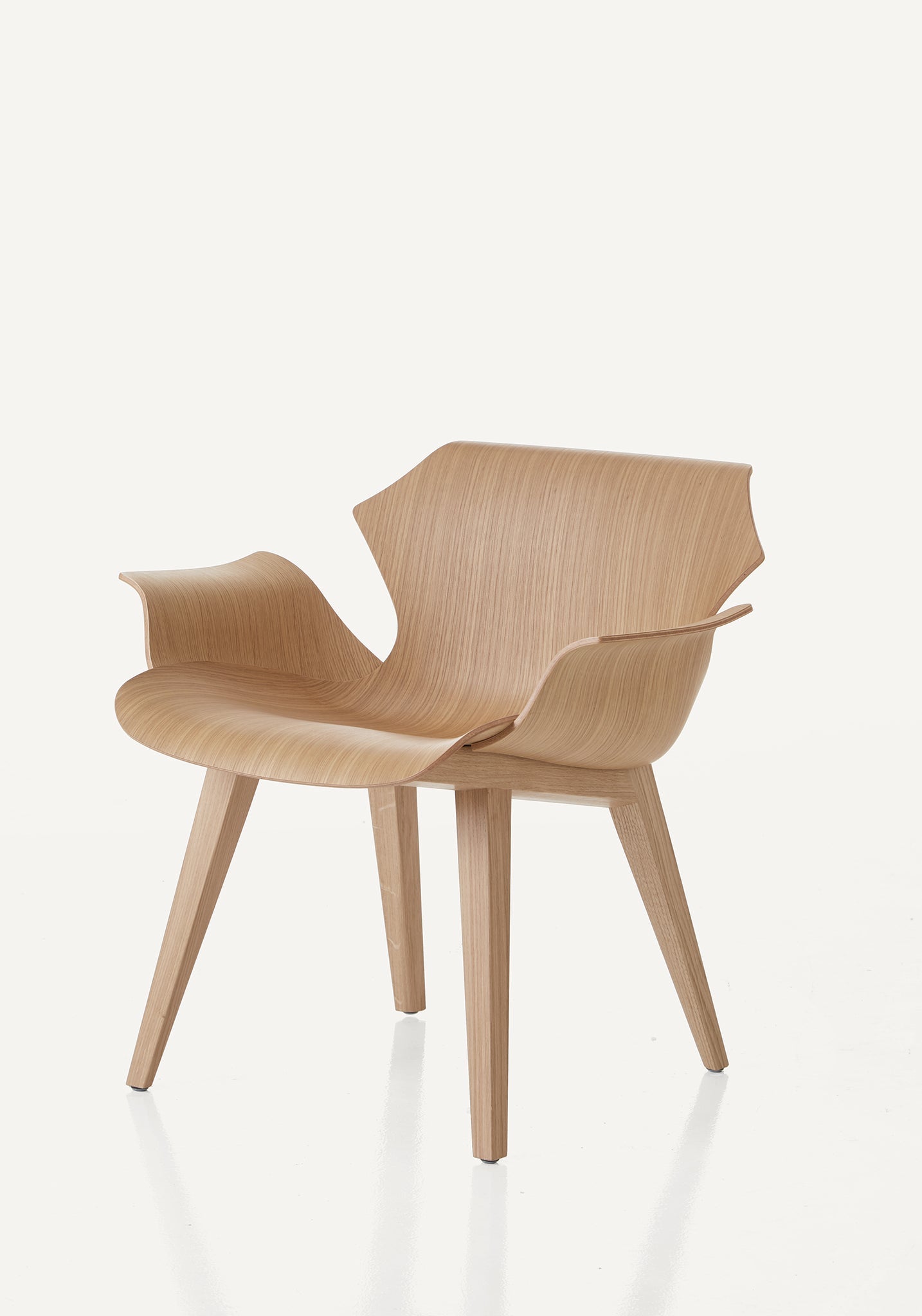 Petal Lounge Chair